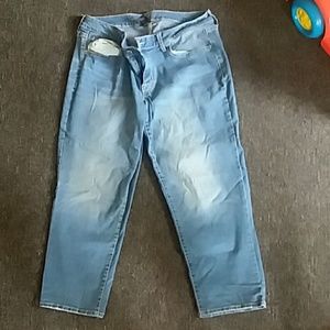 size 14 Apt 9 capris
